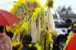 resIMG_20130212_4380.JPG